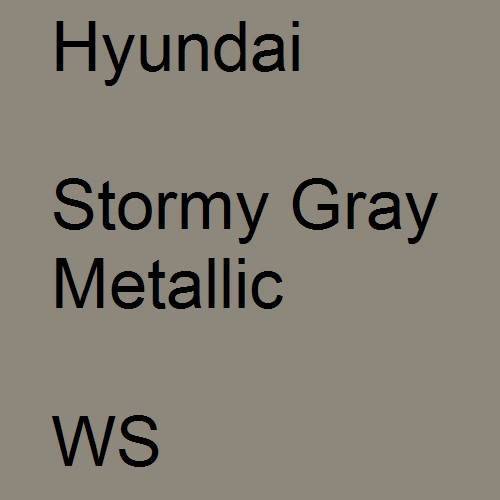 Hyundai, Stormy Gray Metallic, WS.